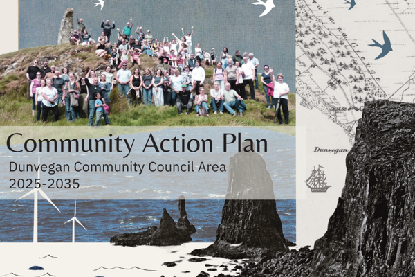Community Action Plan